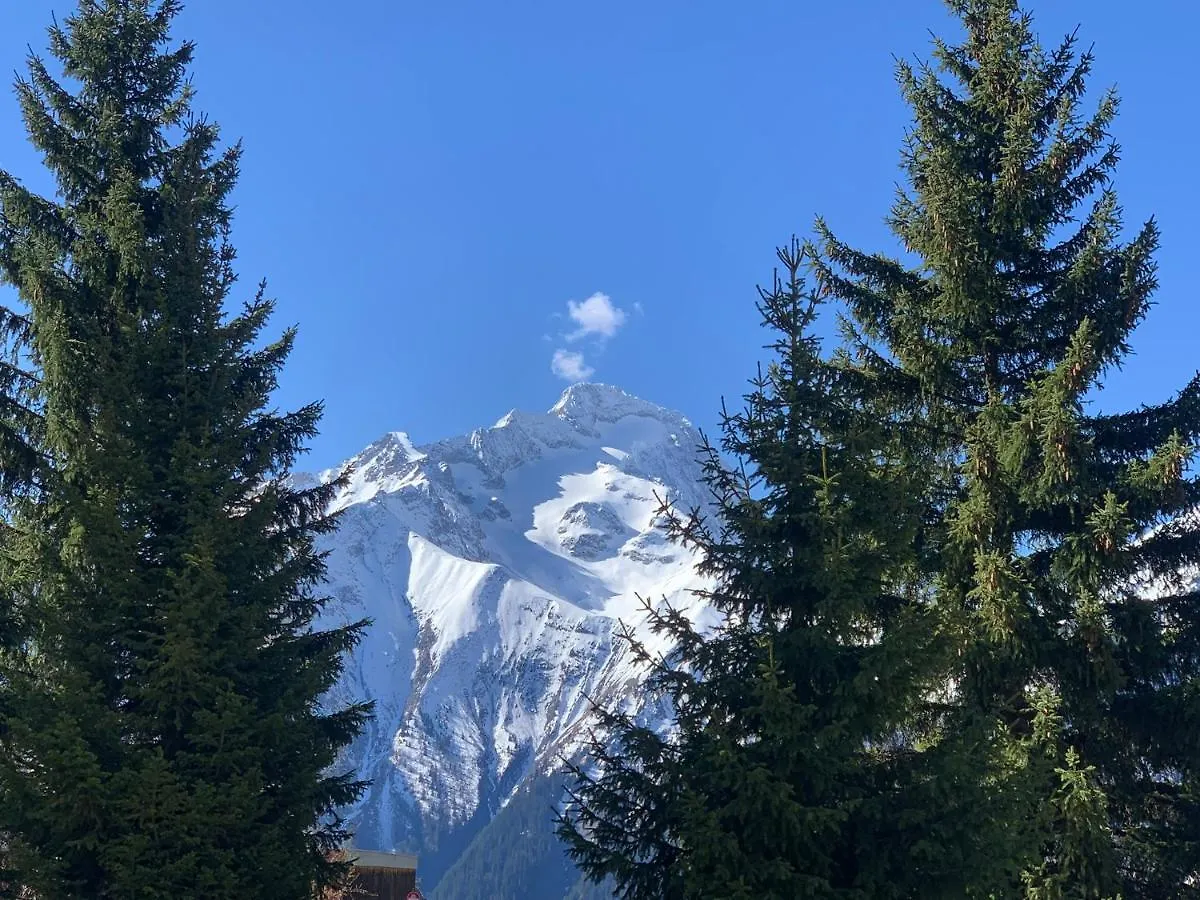 Mon Nid Montagnard Au Soleil Apartment Les Deux Alpes 0*,  France